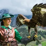 Appartement Haus Weidmannsheil - Wohnen Im Romantischen Forsthaus Werfen