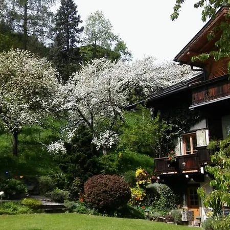 Haus Weidmannsheil - Wohnen Im Romantischen Forsthaus アパート *