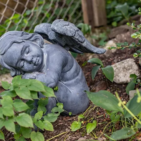 Haus Weidmannsheil - Wohnen Im Romantischen Forsthaus * Werfen