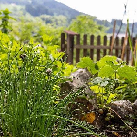 Haus Weidmannsheil - Wohnen Im Romantischen Forsthaus Apartmán