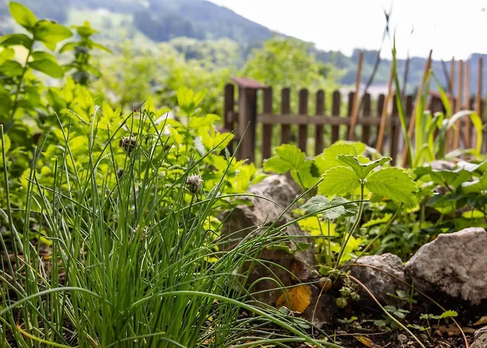 Haus Weidmannsheil - Wohnen Im Romantischen Forsthaus Apartment